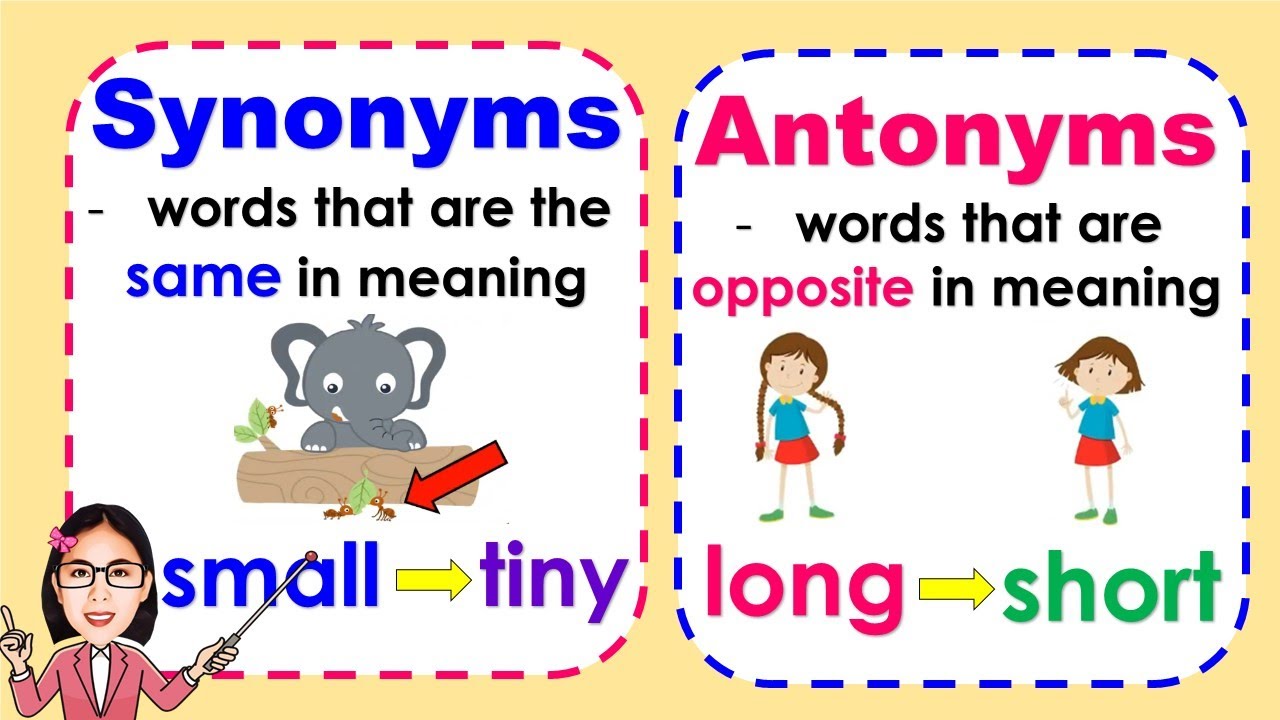 Synonym and Antonym | English Grammar 4 Synonym Antonym 1 Synonym and Antonym | English Grammar