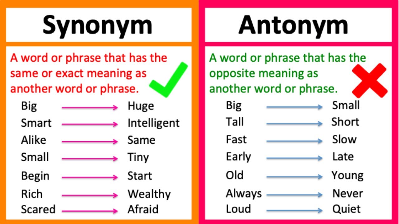Synonym and Antonym | English Grammar 2 synonym and antonym