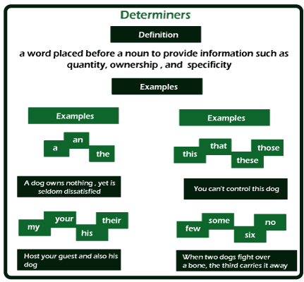 the determiner english grammar