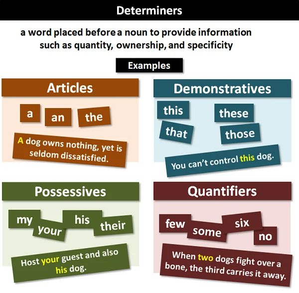 The Determiner The Determiner English Grammar