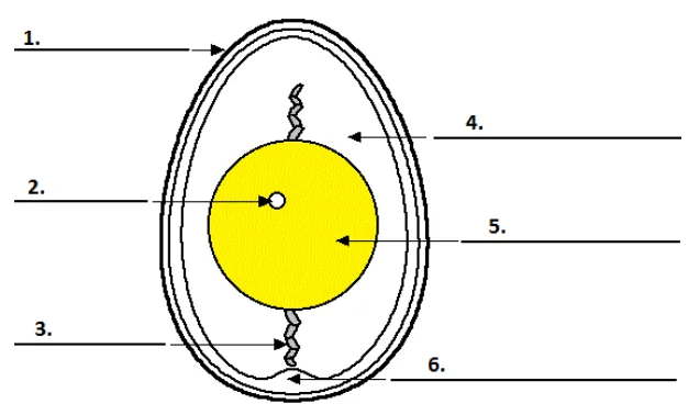 diagram Diagram Completion | Reading | IELTS Course
